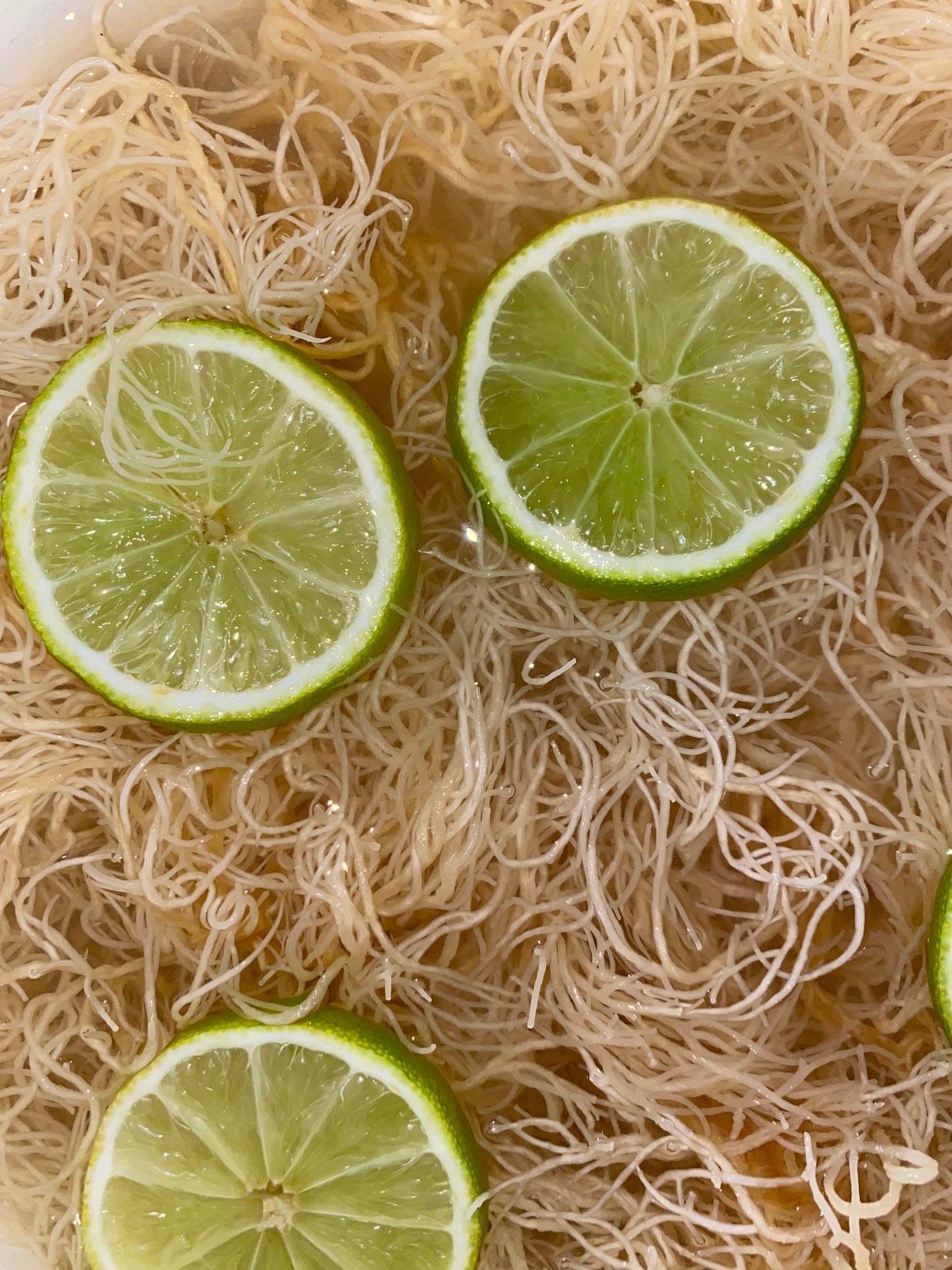 GOLDEN SEA MOSS GEL | 300 ML